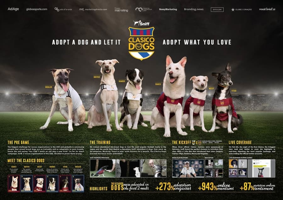 Clasico Dogs Rescue Campaign
