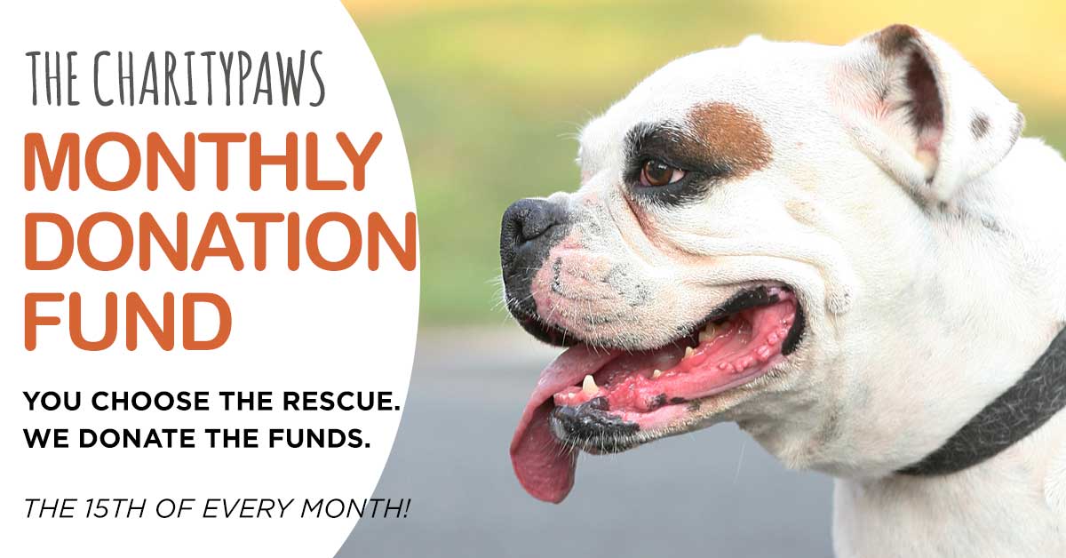Monthly donation fund for animal rescues