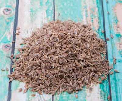 Anise Seed Catnip for Dogs