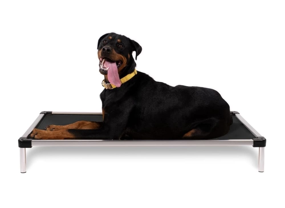 chew proof elevated bed from K9 ballistics