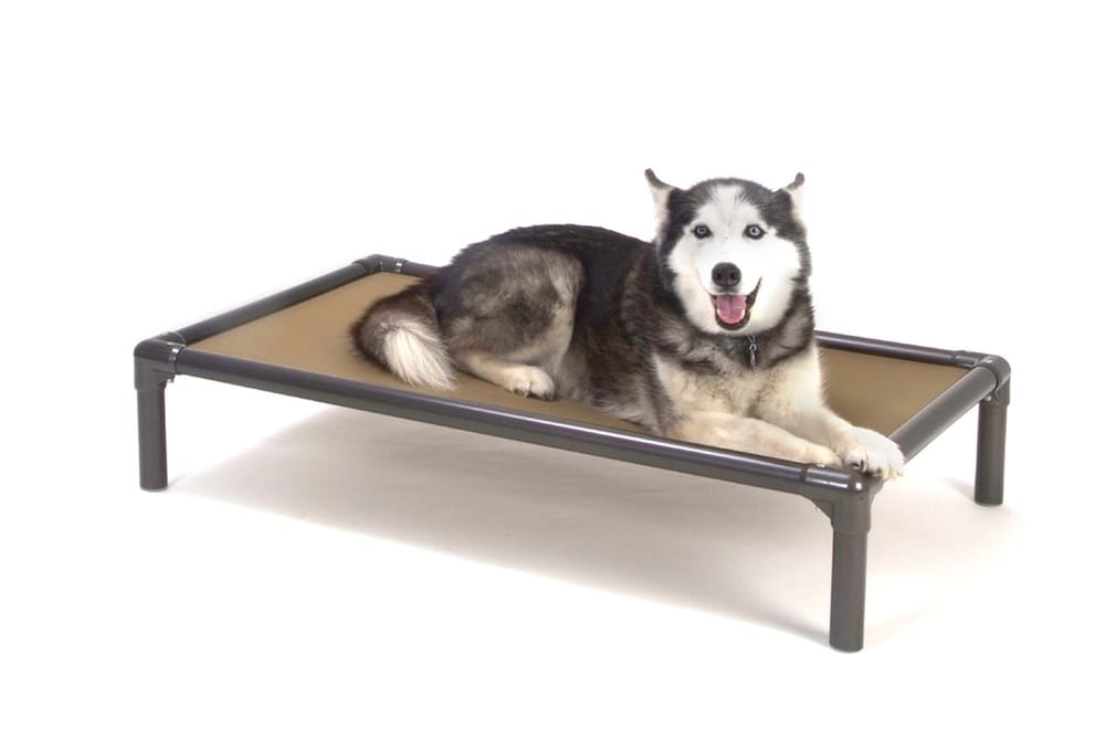 Kuranda chew proof dog bed elevated
