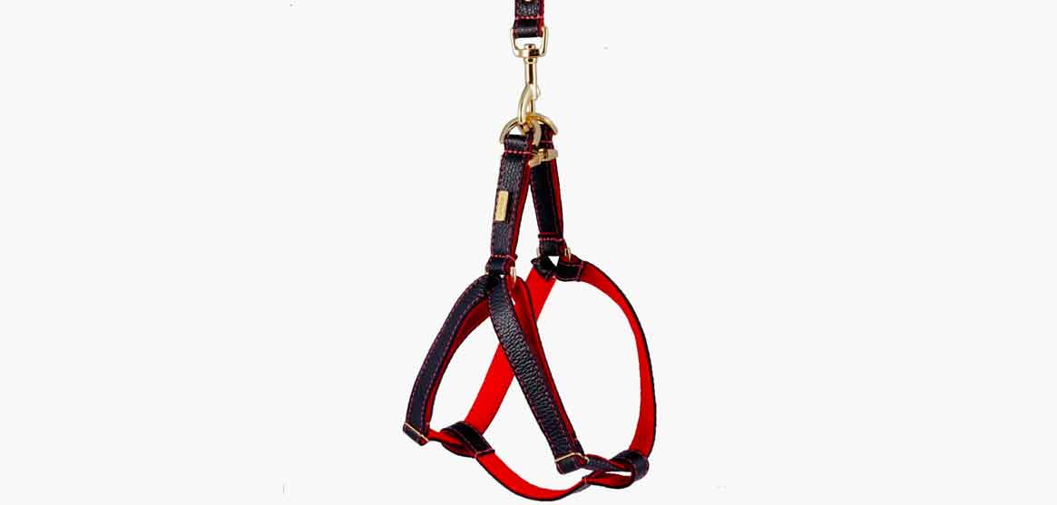 lurril leather dog harness