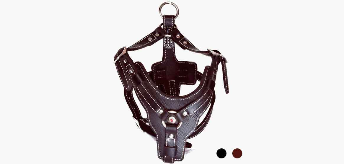 peshouco leather dog harness