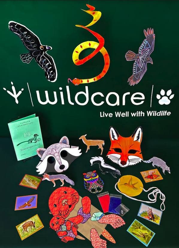 animal toys for toddlers the wildcare kit