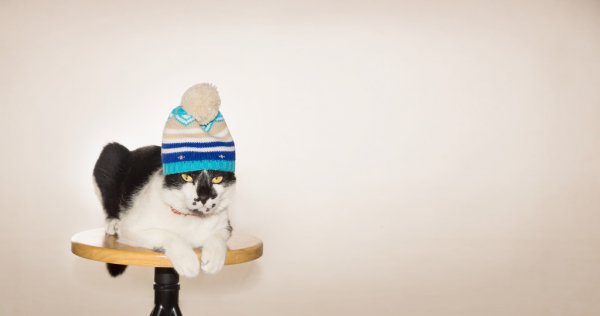 knitted cat hat
