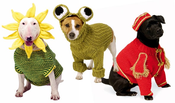 knitted outfits for dogs
