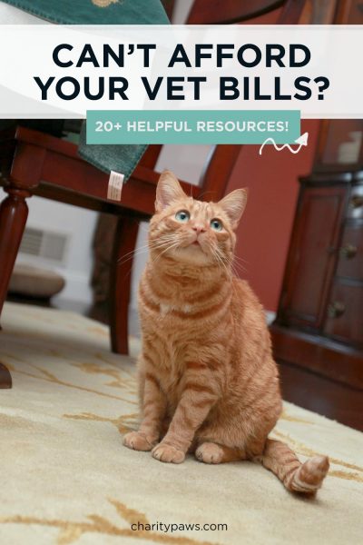resources for pet owners who cannot afford vet bills