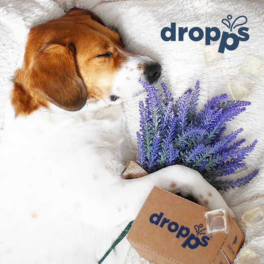 Dropps is cruelty free