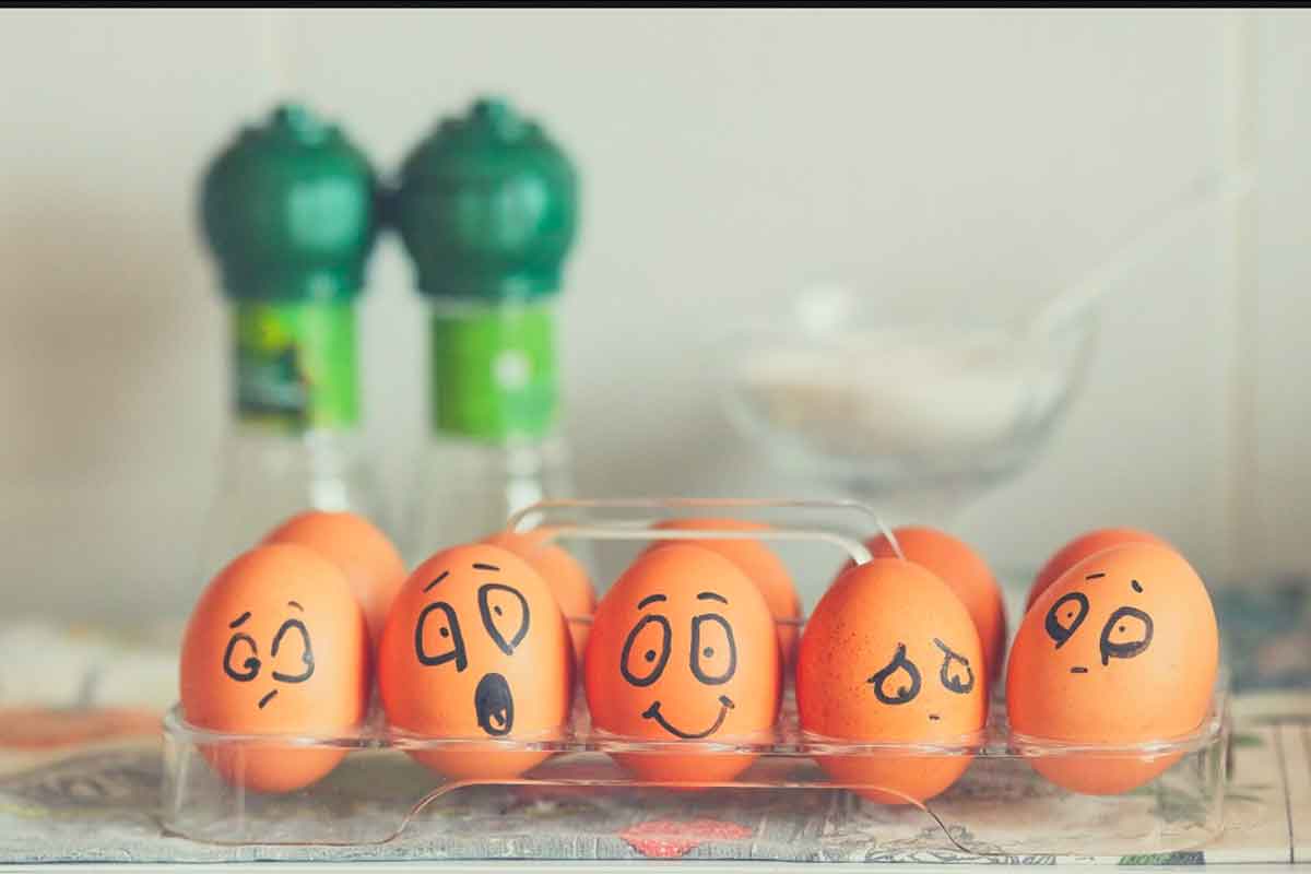 eggs with smiley faces for foods dogs can eat