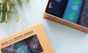 conscious step socks