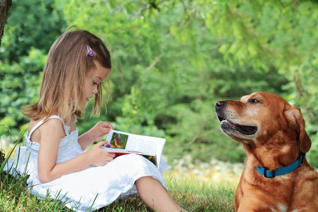 creating reading club for shelter dogs