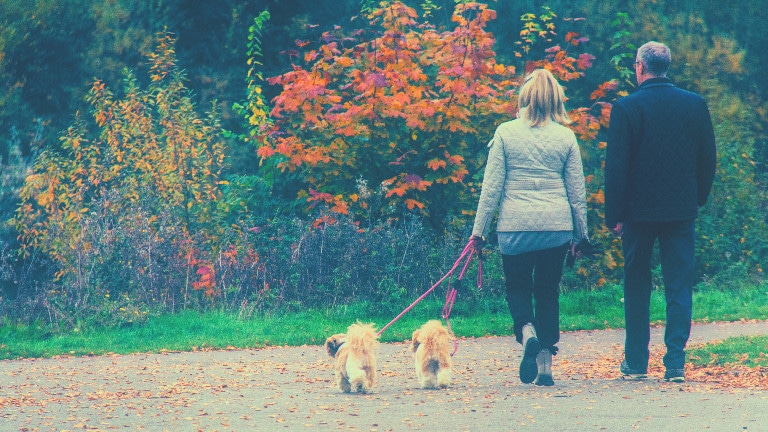 Two People Walking Their Dogs