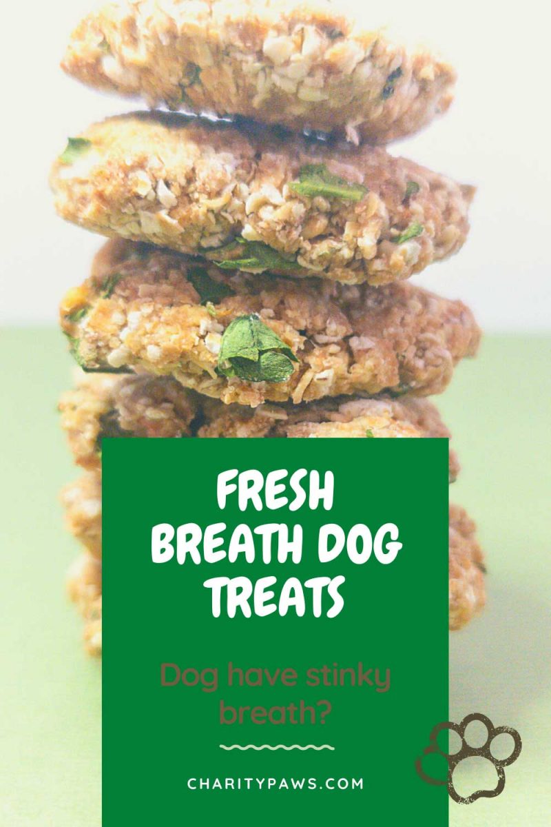 Homemade Dog Treats For Bad Breath Your Pooch Will Love!