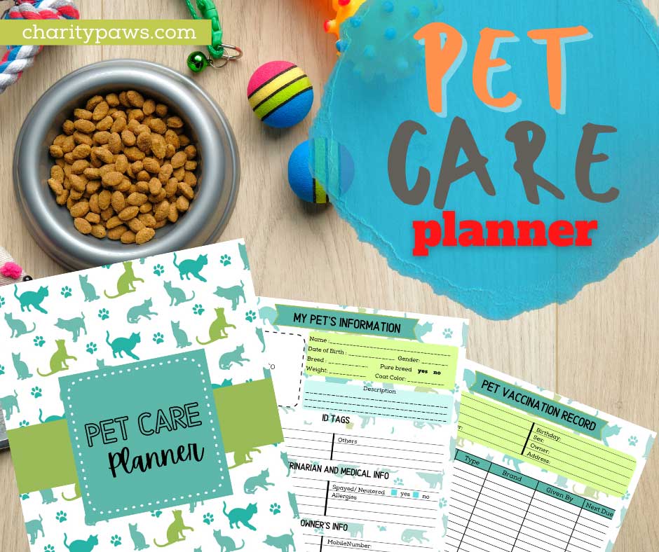 pet care planner sample