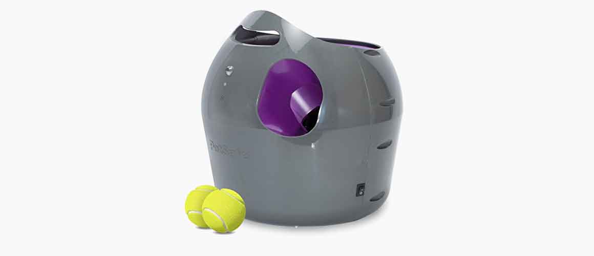 pet safe automatic ball launcher
