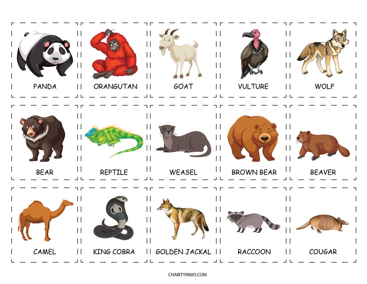 Animals Of The World Activity For Kids {Free Download}
