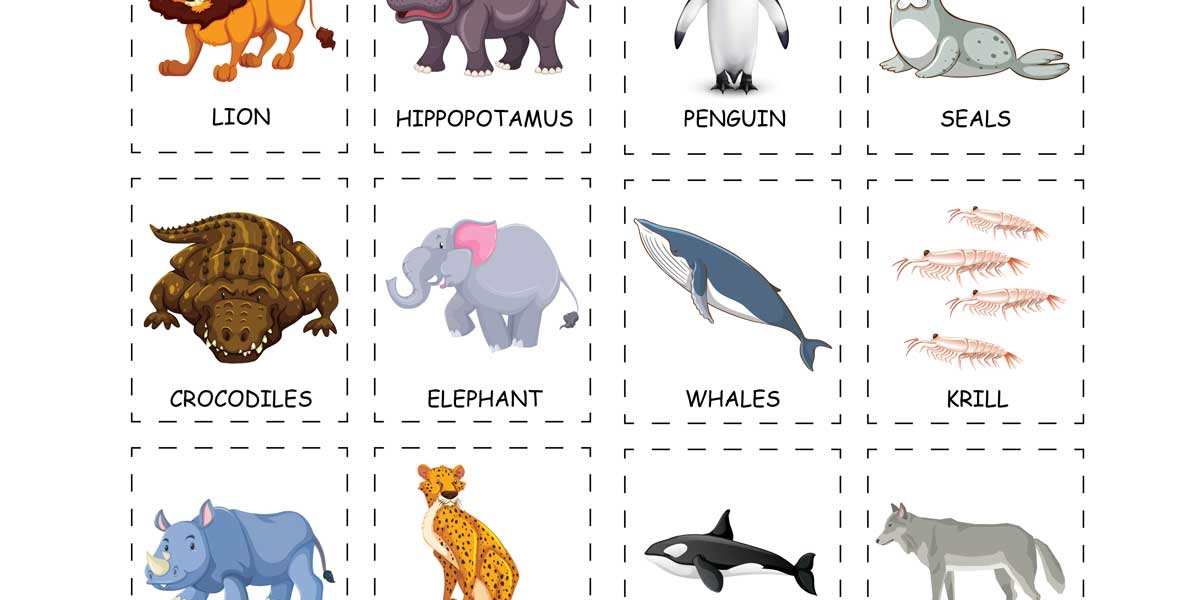 Animals Of The World Activity For Kids {Free Download}