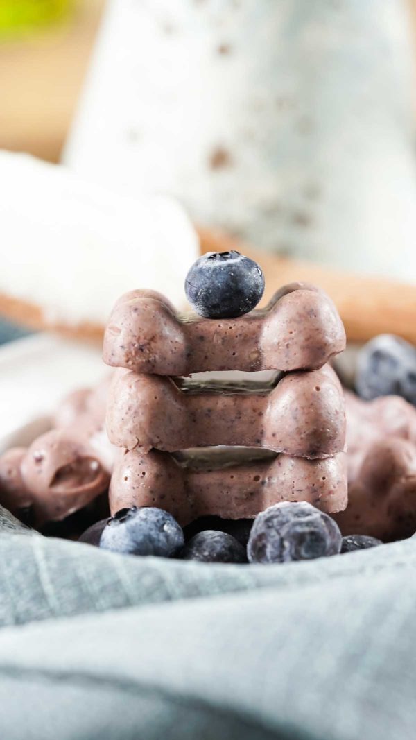 Gummy Coconut Oil Dog Treats With Blueberries Recipe