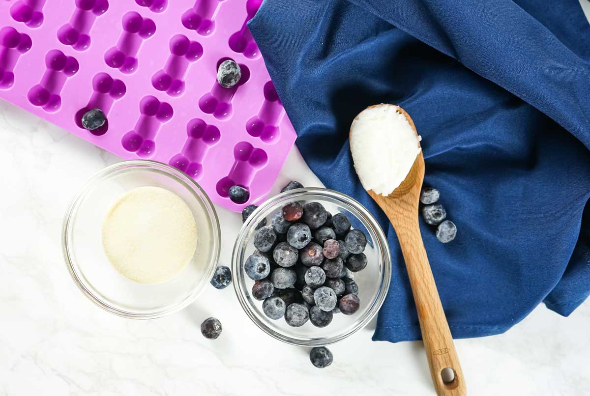 ingredients for coconut oil blueberry gummy treats