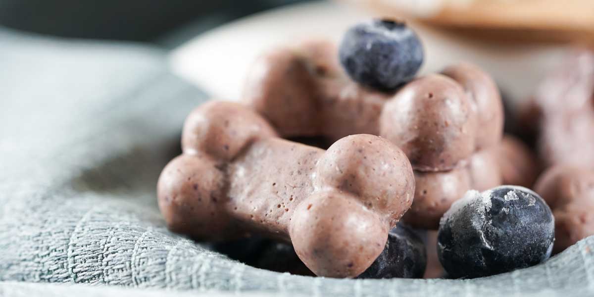 coconut oil dog treats with blueberries