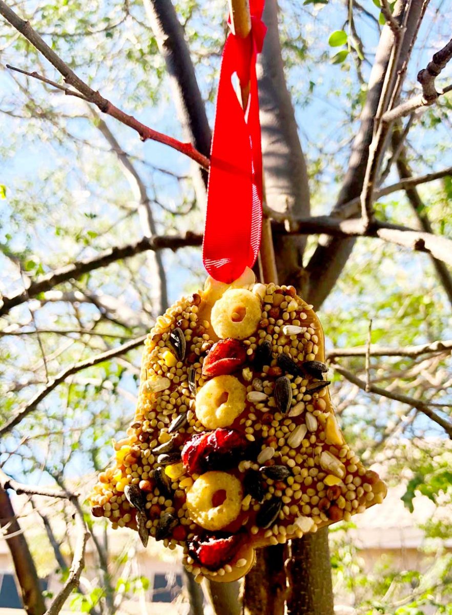 hanging cheerios bird feeder