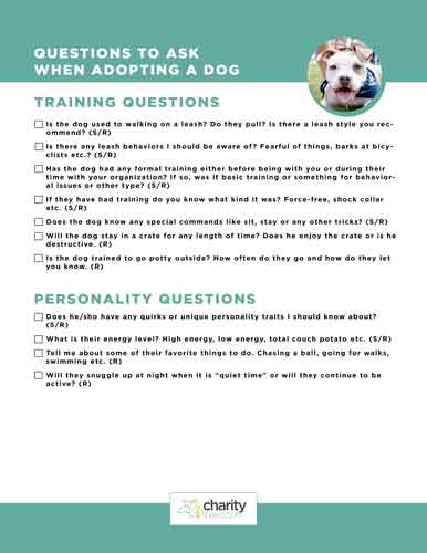 pdf of questions to ask when adopting a dog
