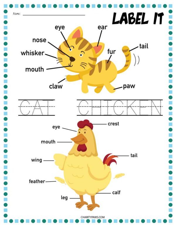 Animals And Their Babies Worksheets {Free 10 Page PDF}