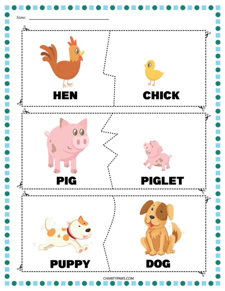 matching animals and their babies writing worksheet