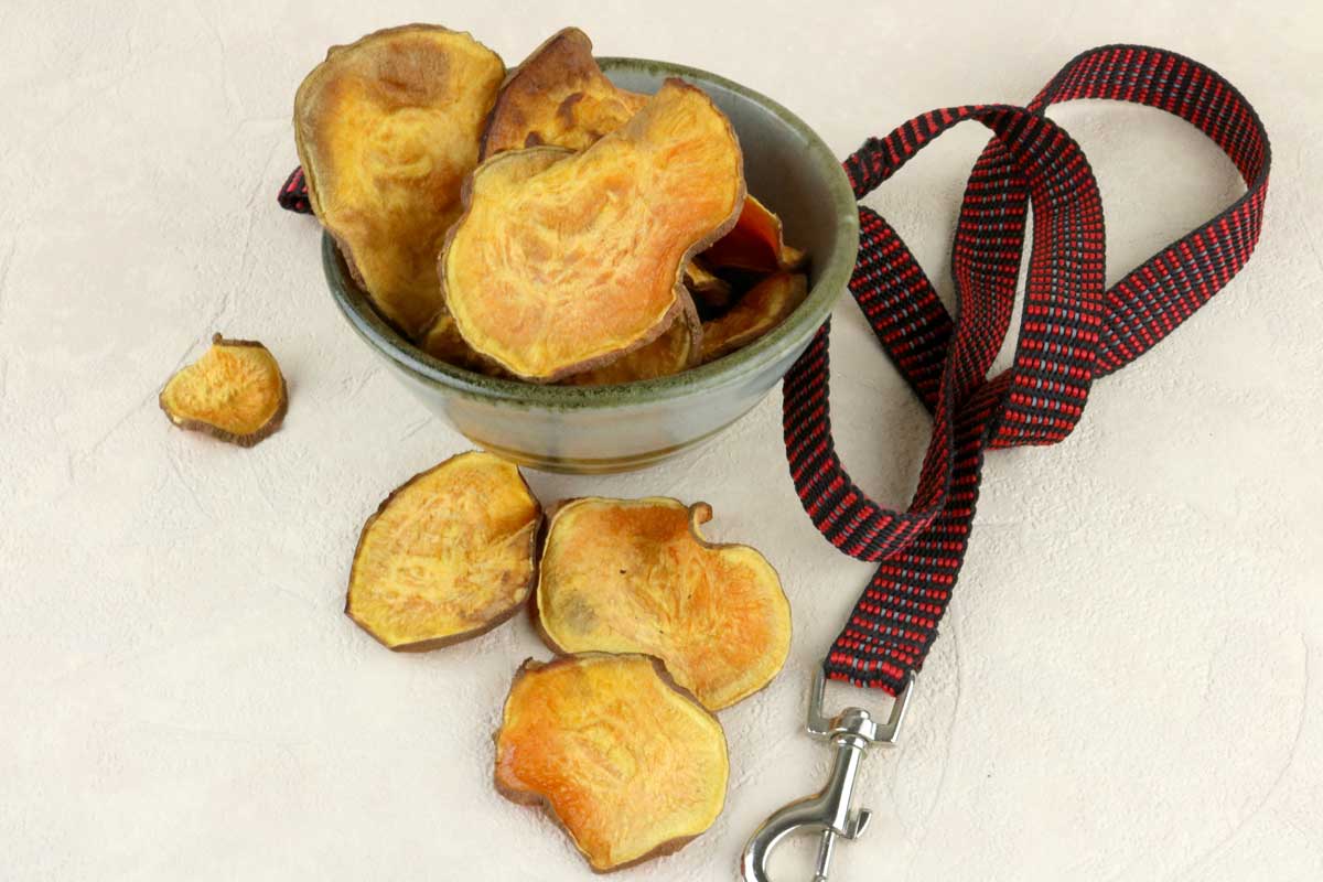 homemade air fryer sweet potato dog treats