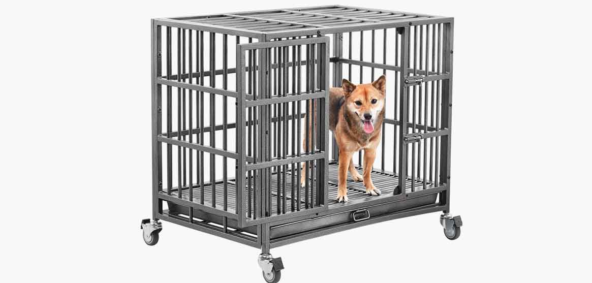 frisco dog crate