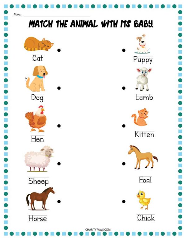 Animals And Their Babies Worksheets Free 10 Page PDF