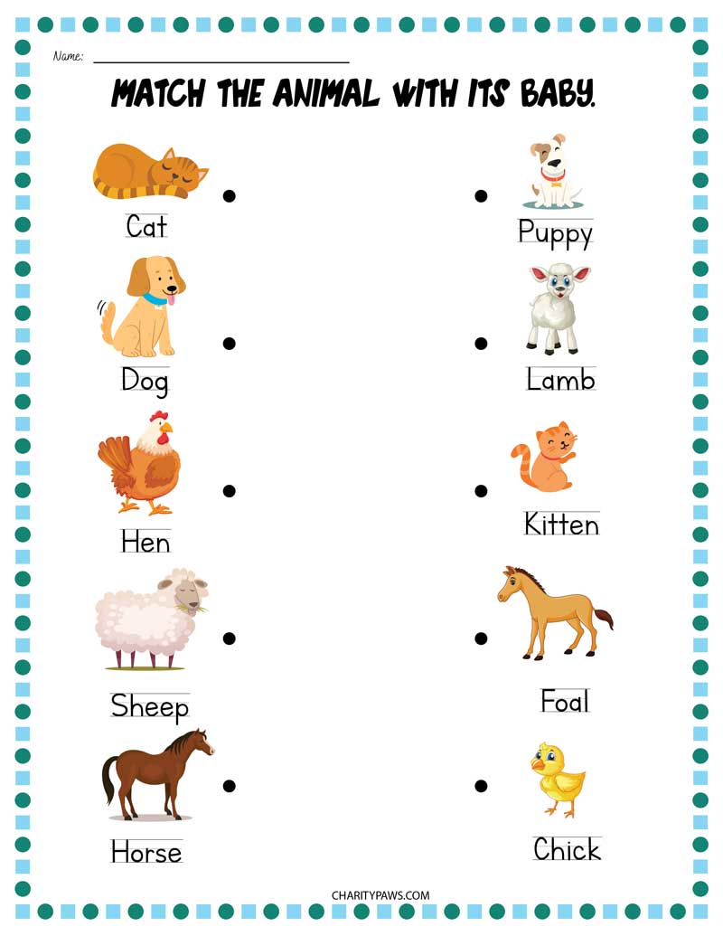 mom animals and their babies line matching activity worksheet