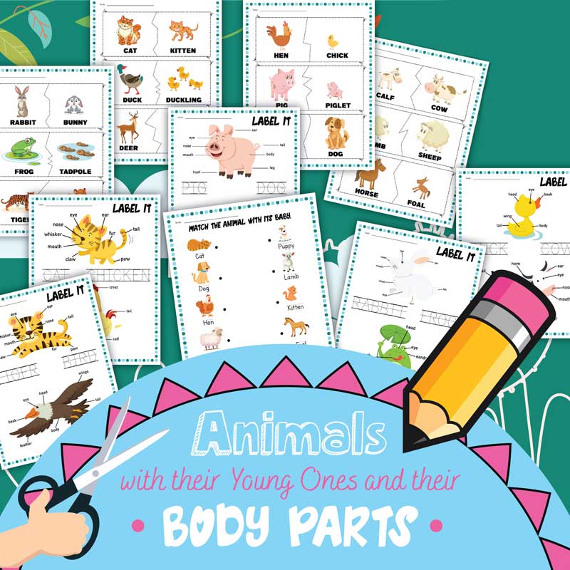 Animals And Their Babies Worksheets {Free 10 Page PDF}