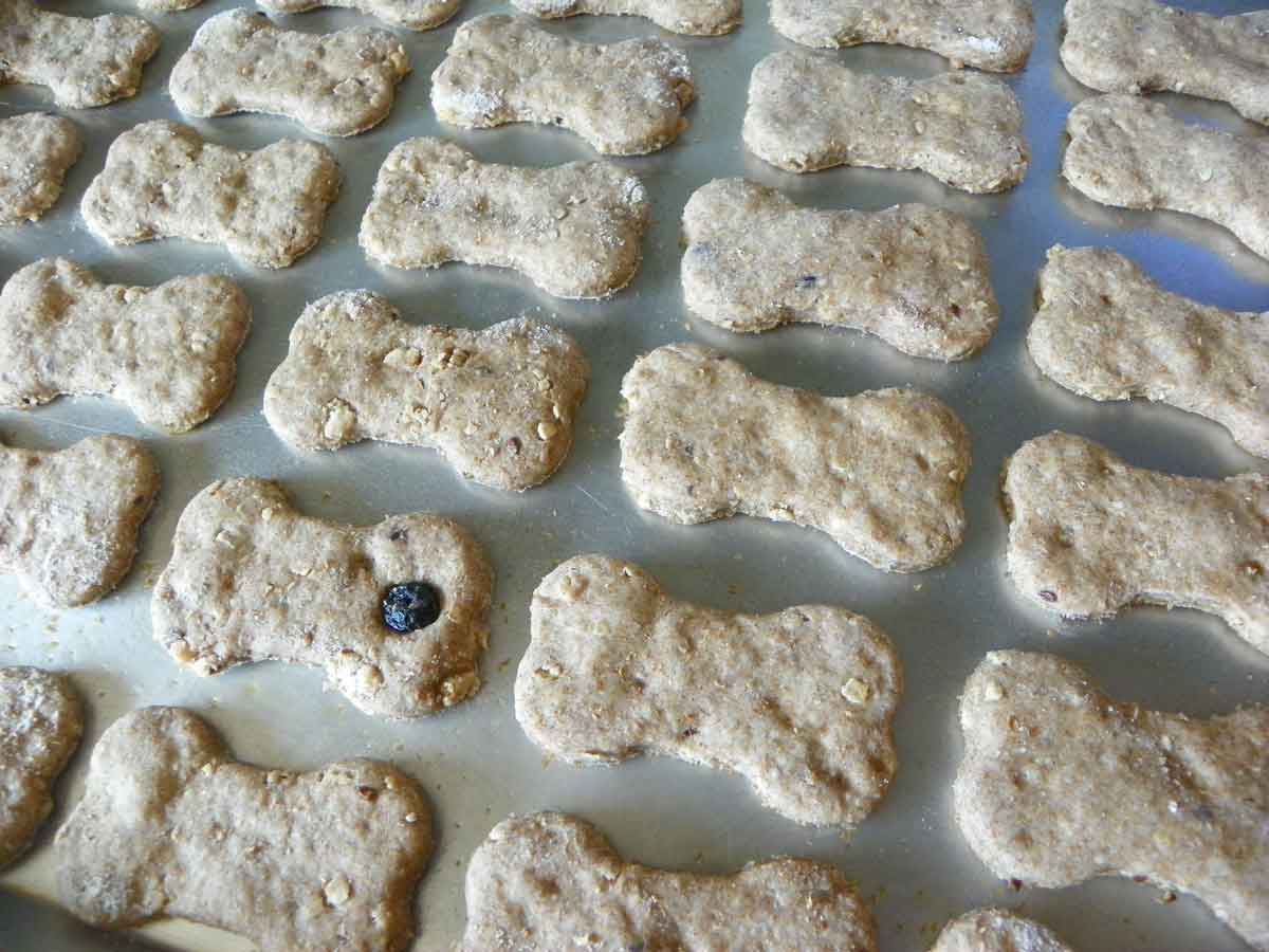finished blueberry granola dog treats