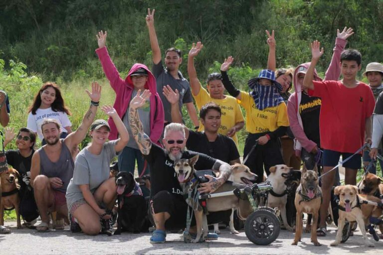 Pet Animal Rescue News Stories Reviews CharityPaws