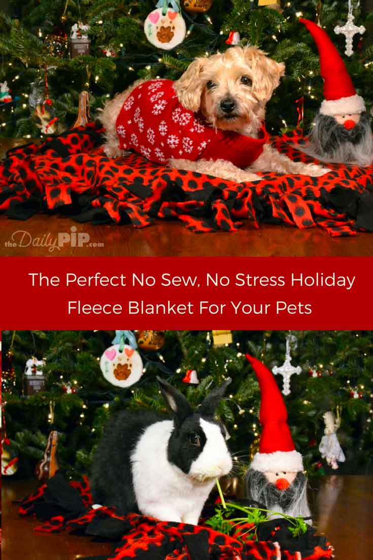 How to create a no sew blankets for pets and homeless animals.