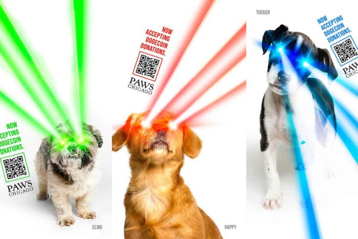 Pet Animal Rescue News Stories Reviews CharityPaws