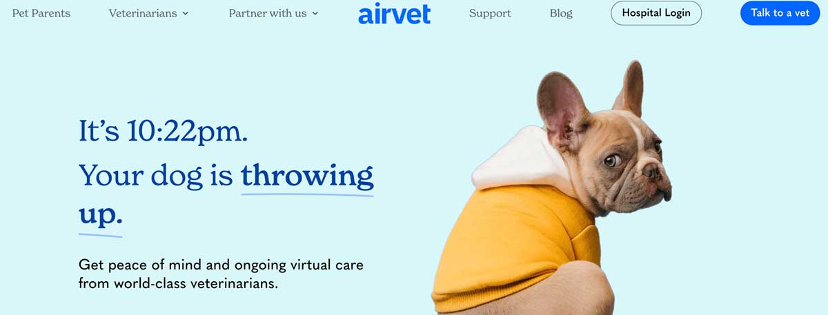 airvet online vet service