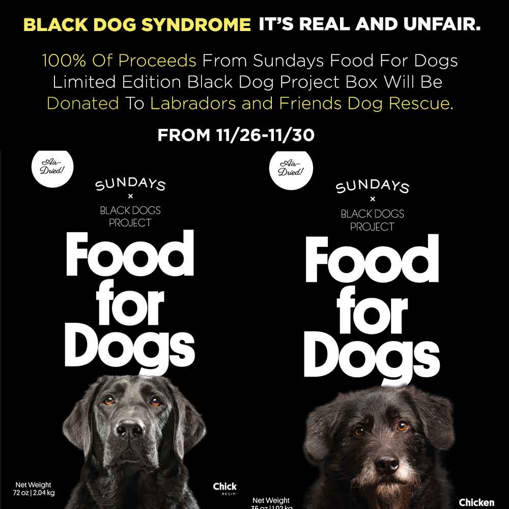 sundays for for dogs special for black dogs