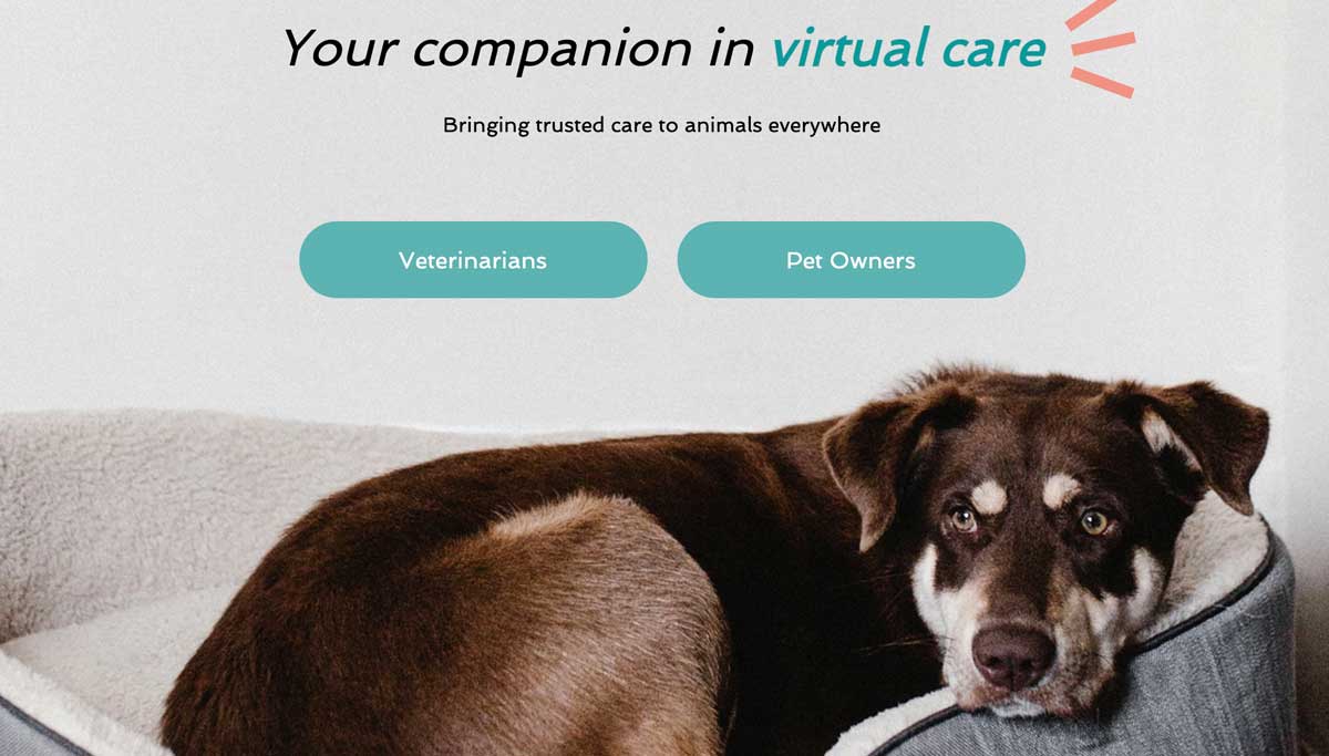 virtuwoof online vet care