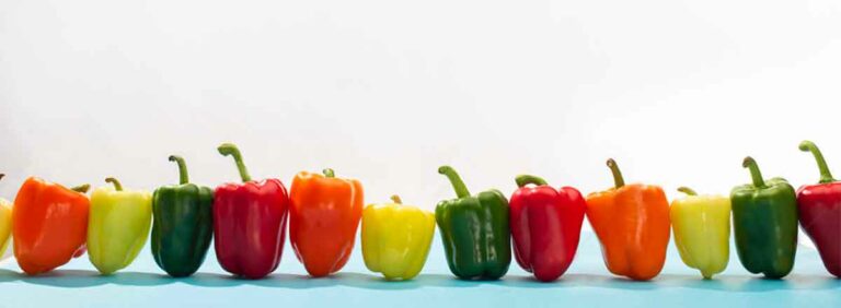 Can Dogs Eat Bell Peppers? How About Red Peppers - Yes