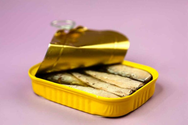 Can Dogs Eat Sardines In Tomato Sauce?