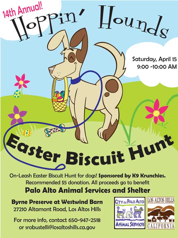 Easter Fundraiser Ideas For Animal Rescues & Shelters