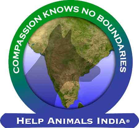 help animals india logo