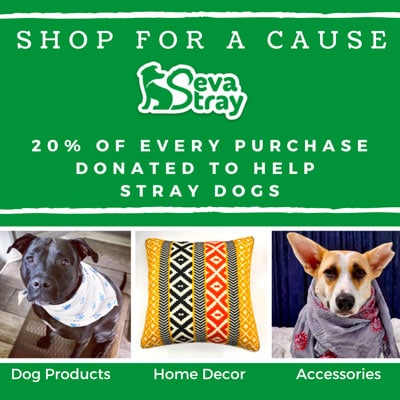 Seva Stray Indian Inspired Gifts That Do Good