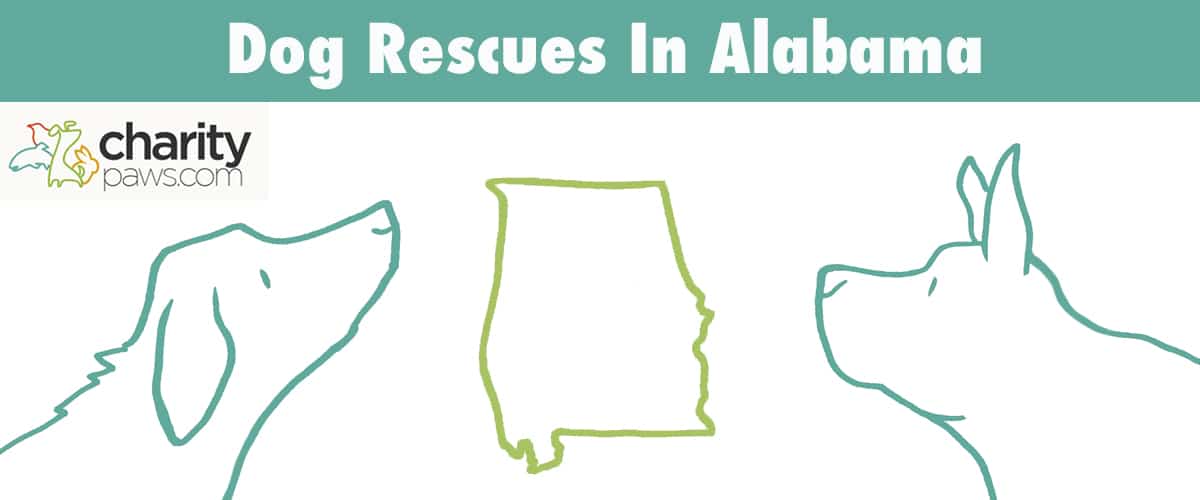 Dog Rescues and Shelters In Alabama