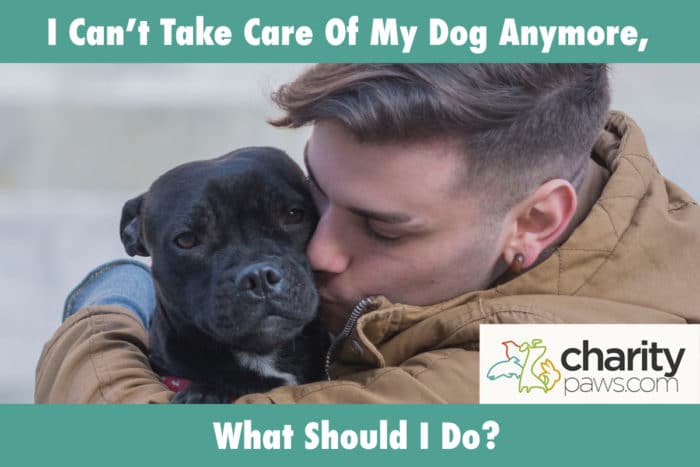 I Can't Take Care Of My Dog Anymore, What Should I Do?