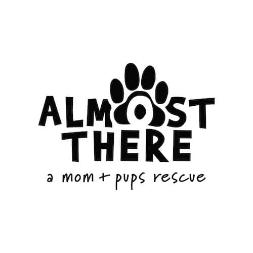 Almost There Pup Rescue In Arizona