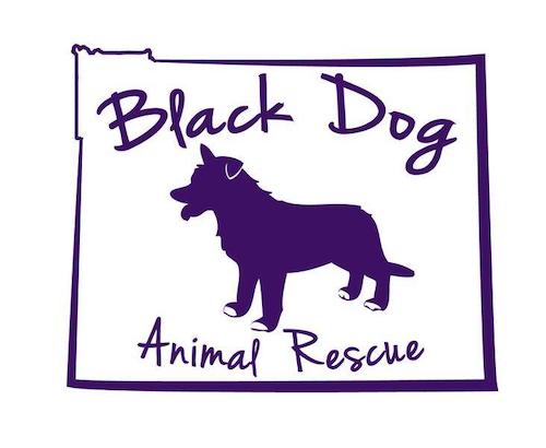 Black Dog Animal Rescue In Wyoming