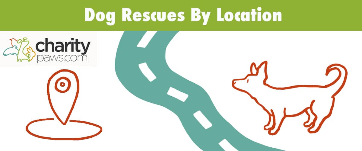 Find Dog Rescues By Location Near You